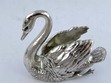 Silver Swan
