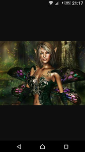 Donna Rochow - Poljarevic