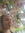 Rebeka