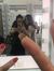 Uyen Cam