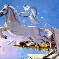 نوارة المشيطي