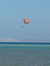 Atrophaeus