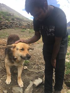 John Boggala Benedict