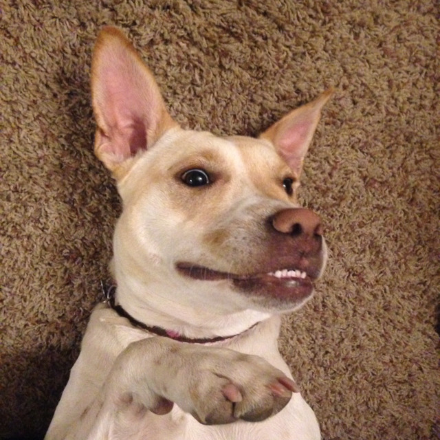 Goodreads profile picture for @liza