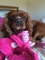 Myshelle