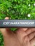 Joey J ...