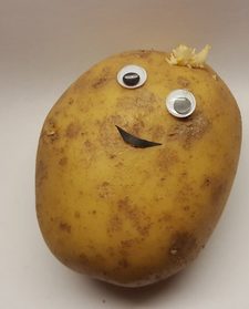 Potato