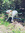 Sharlie | 5 comments