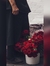 Noha