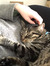 Lily Gr...
