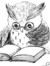 Owl._.