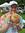 Noah Condon (noblehoney) | 1 comments