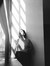 Ashley Flores Ramos