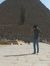 Ahmed A...