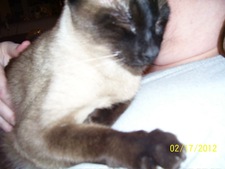 Jerri Gallagher Clegg