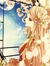 Yani (Tsukiyomi Books)