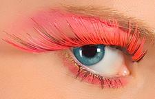 افسانه افسونگر