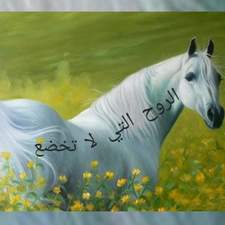 الروح التي لا تخضع