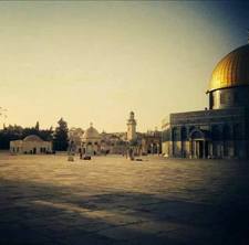 منى عبدالرحمن