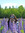 member photo member photo