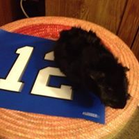 Christopher August Hennefer