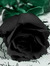 Marianna