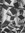 Biblivio