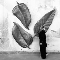 Yasmin Berbar