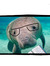 Manatee_WoohBooks