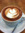 Mocha Lattè