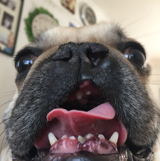 Roo Cooper