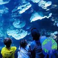 Julia DelPorto Bianchi