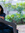 Komal