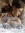 Morgan Vane | 5 comments
