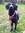 Roo James
