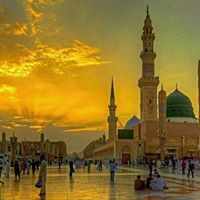 د.فاطمة مارديني