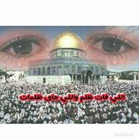 Shosho Elokily