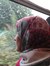 Samar B...