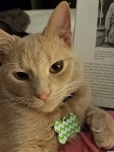 Sam
