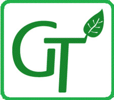 Tinh dầu và thảo mộc GT