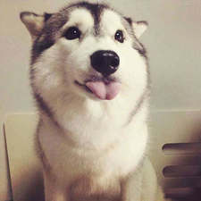 Kuba