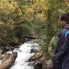 انیق الر حمان