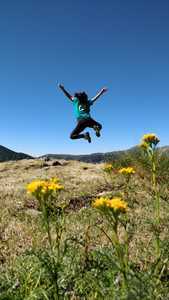 Ariadna Joana Reverter