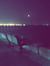 Shaikha •