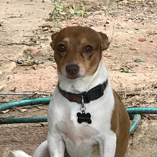Audrey