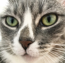 Nori’s gone to StoryGraph