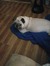 Debby S...