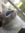 Babymidori13 | 3 comments