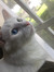 Babymidori13