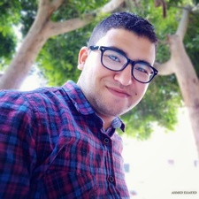 Ahmed Elsayed